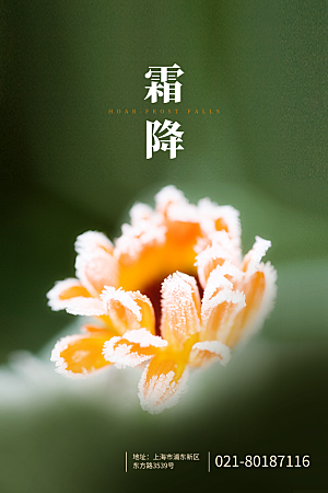 中国传统二十四节气霜降h5手机海报