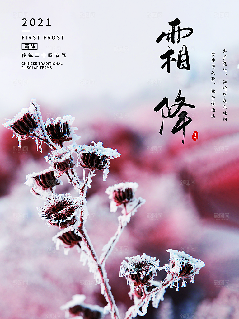 中国传统二十四节气霜降h5手机海报