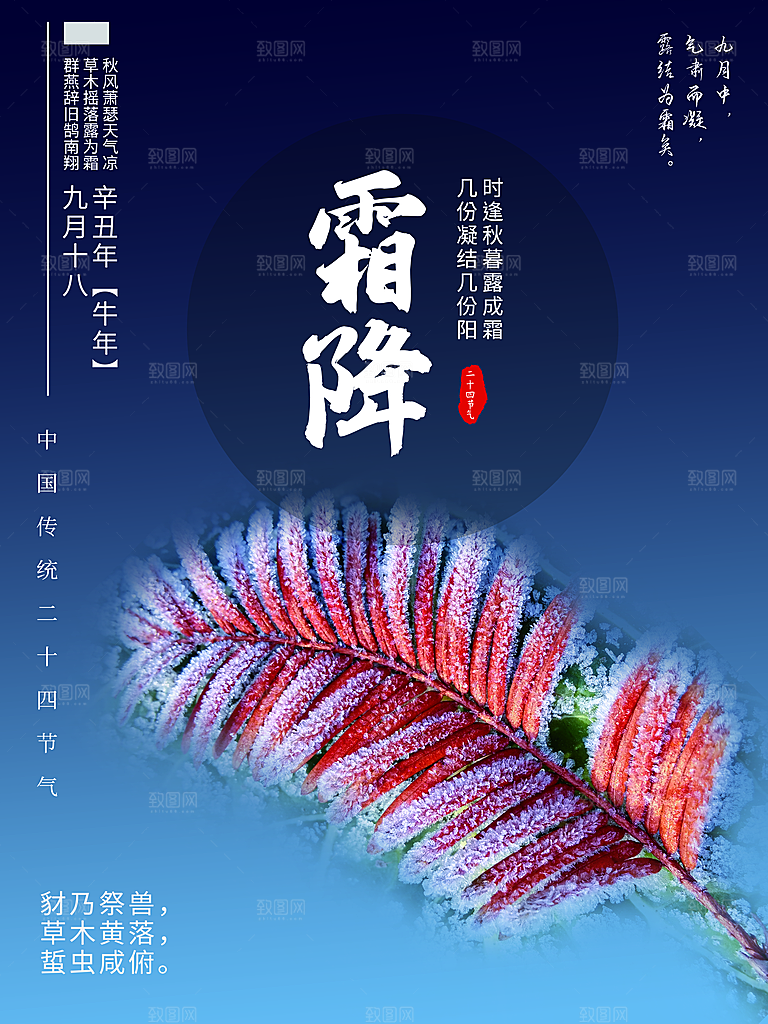二十四24节气霜降h5手机海报