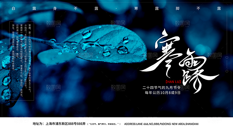 寒露节气简约大气海报