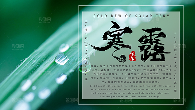 简约大气寒露节气海报