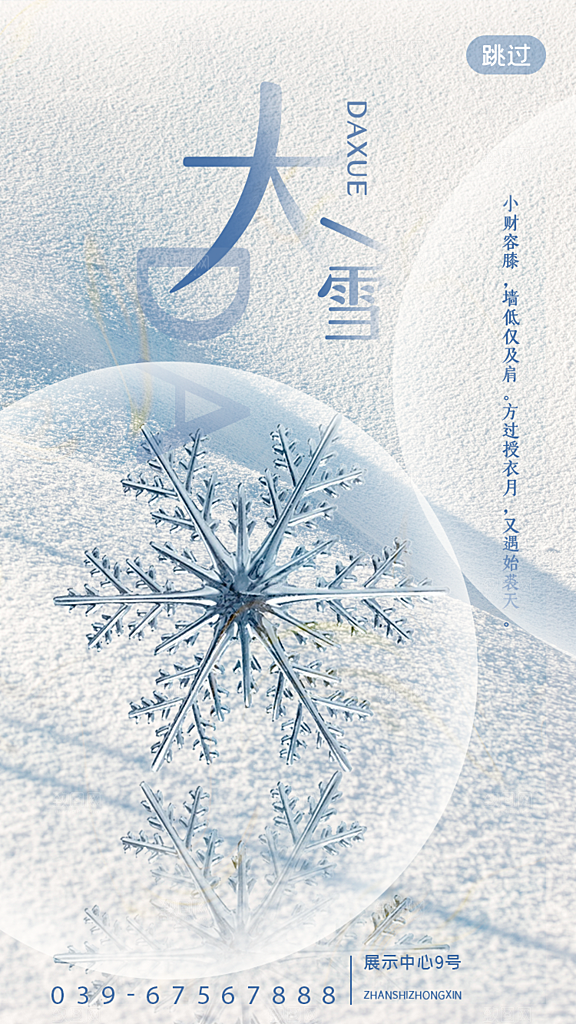 大雪节气简约大气海报