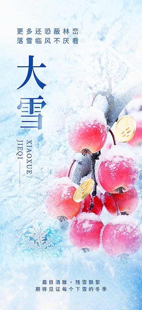 大雪节气简约大气海报