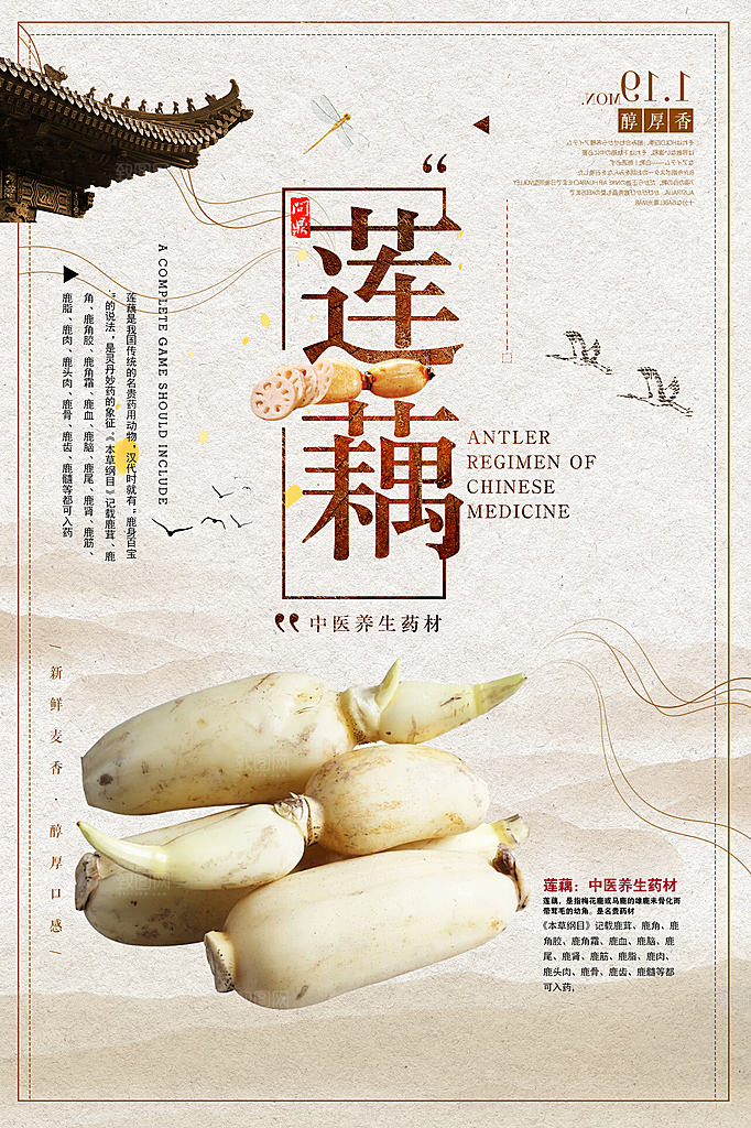 莲藕宣传海报设计素材