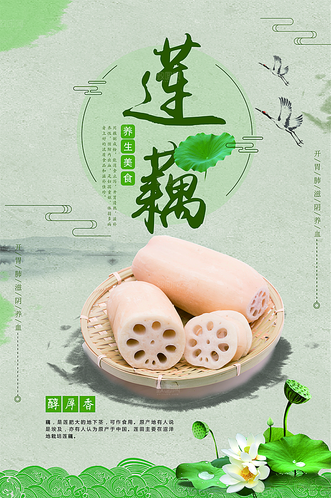 莲藕宣传海报设计素材