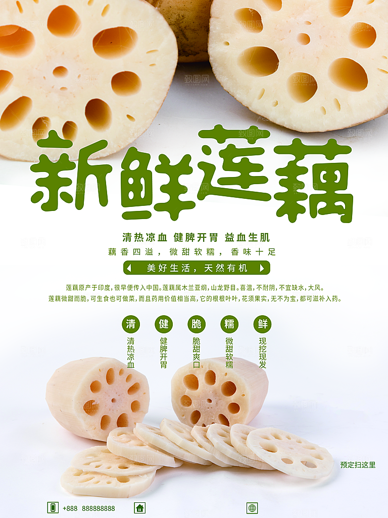 莲藕宣传海报设计素材