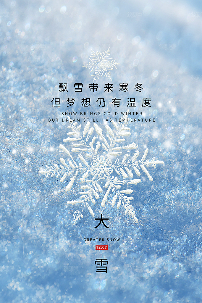 大雪节气简约大气海报
