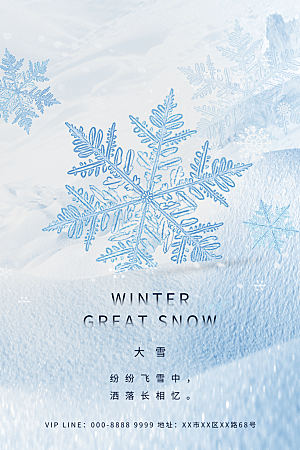 大雪节气简约大气海报