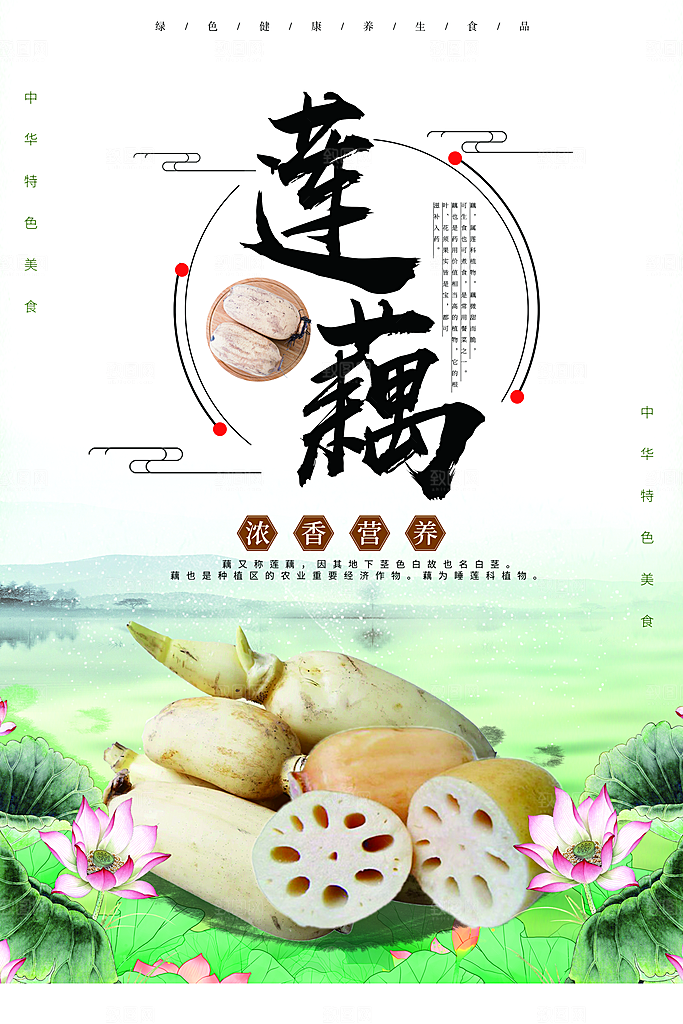 莲藕宣传海报设计素材