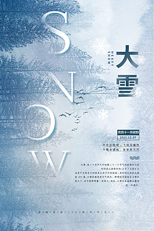 大雪节气简约大气海报
