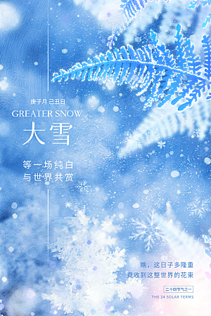 大雪节气简约大气海报
