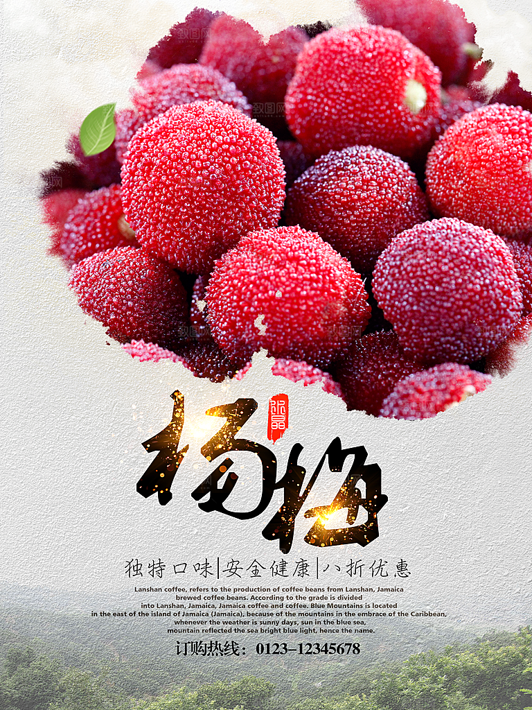 杨梅宣传海报设计素材