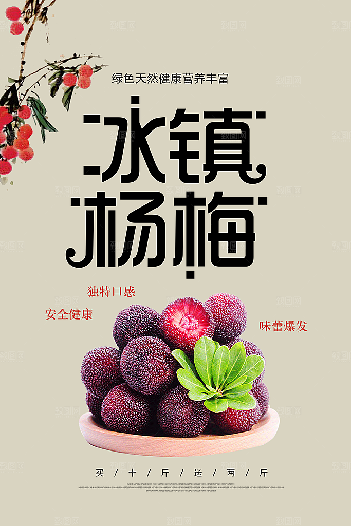 杨梅宣传海报设计素材