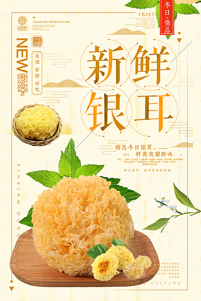 银耳宣传海报设计素材