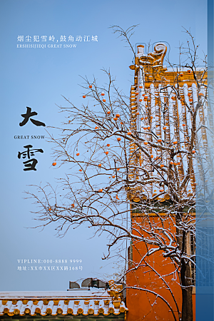 大雪节气简约大气海报