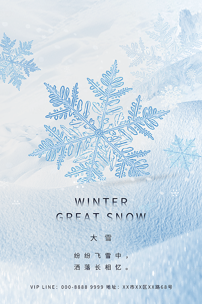 大雪节气简约大气海报