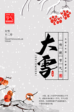 大雪节气简约大气海报