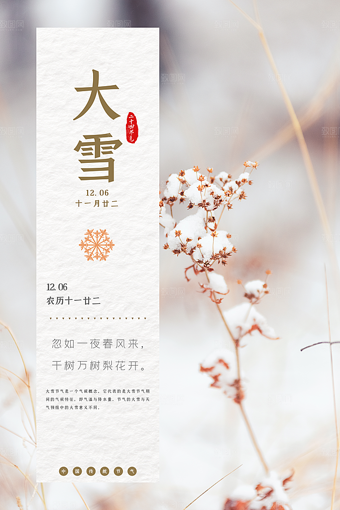 大雪节气简约大气海报