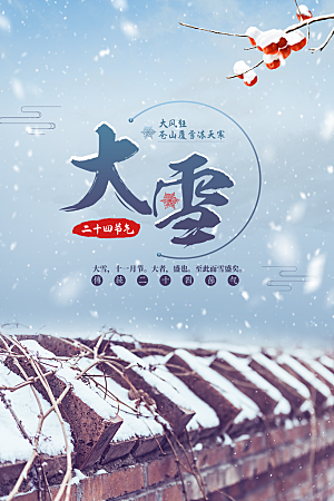 大雪节气简约大气海报