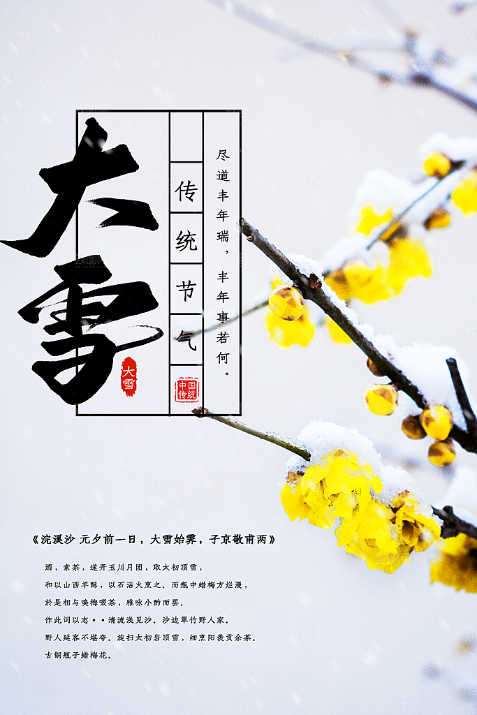 大雪节气简约大气海报