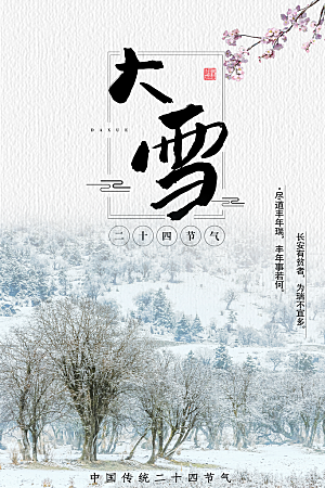 大雪节气简约大气海报