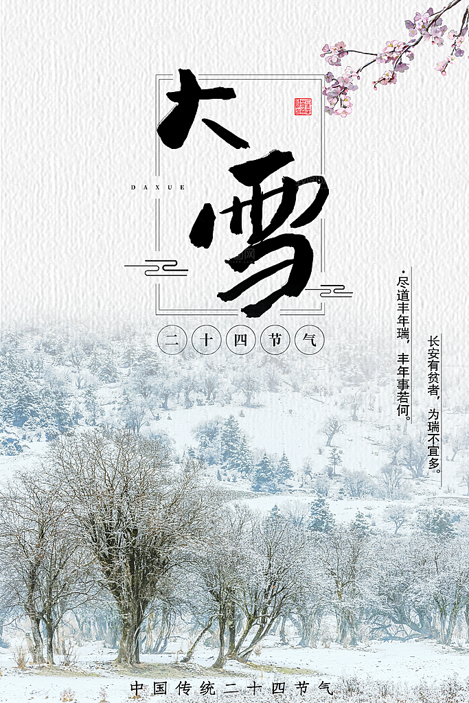 大雪节气简约大气海报