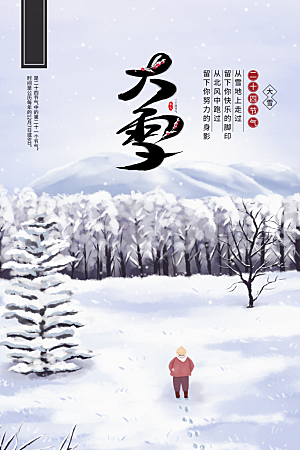 大雪节气简约大气海报