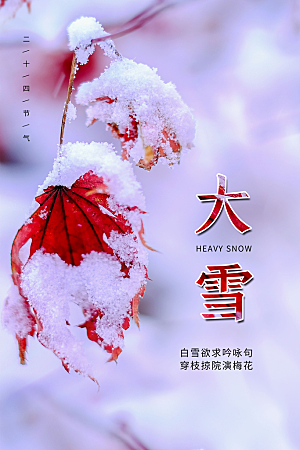 大雪节气简约大气海报