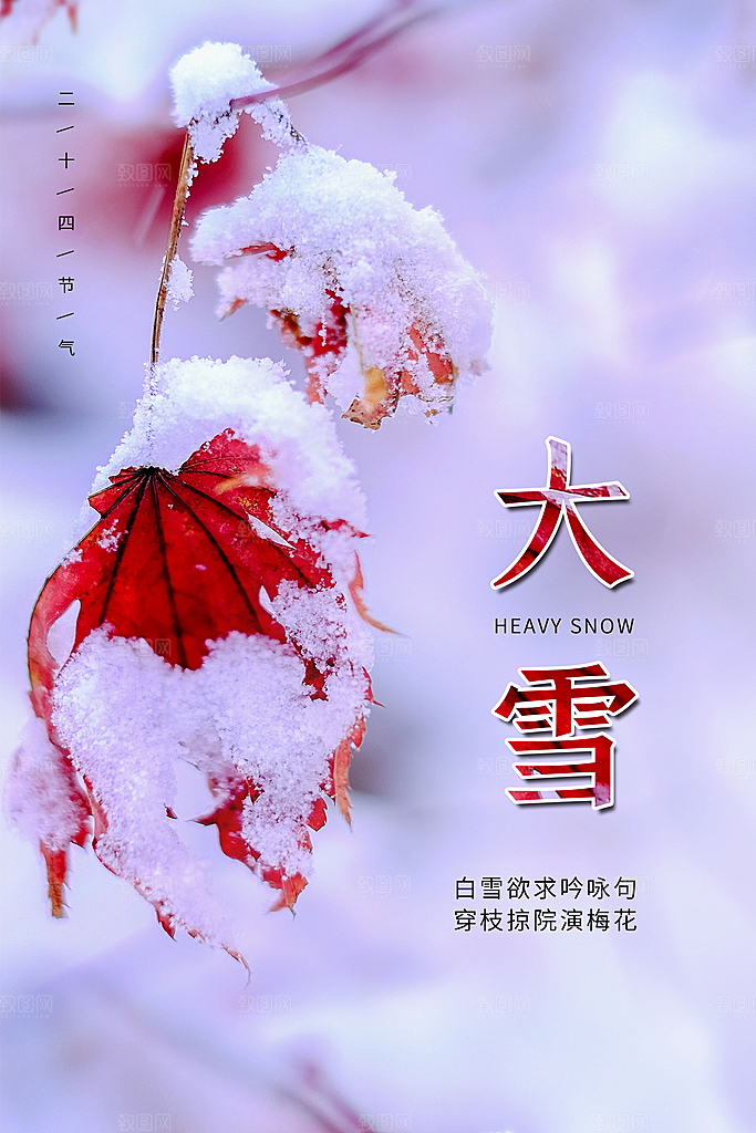 大雪节气简约大气海报