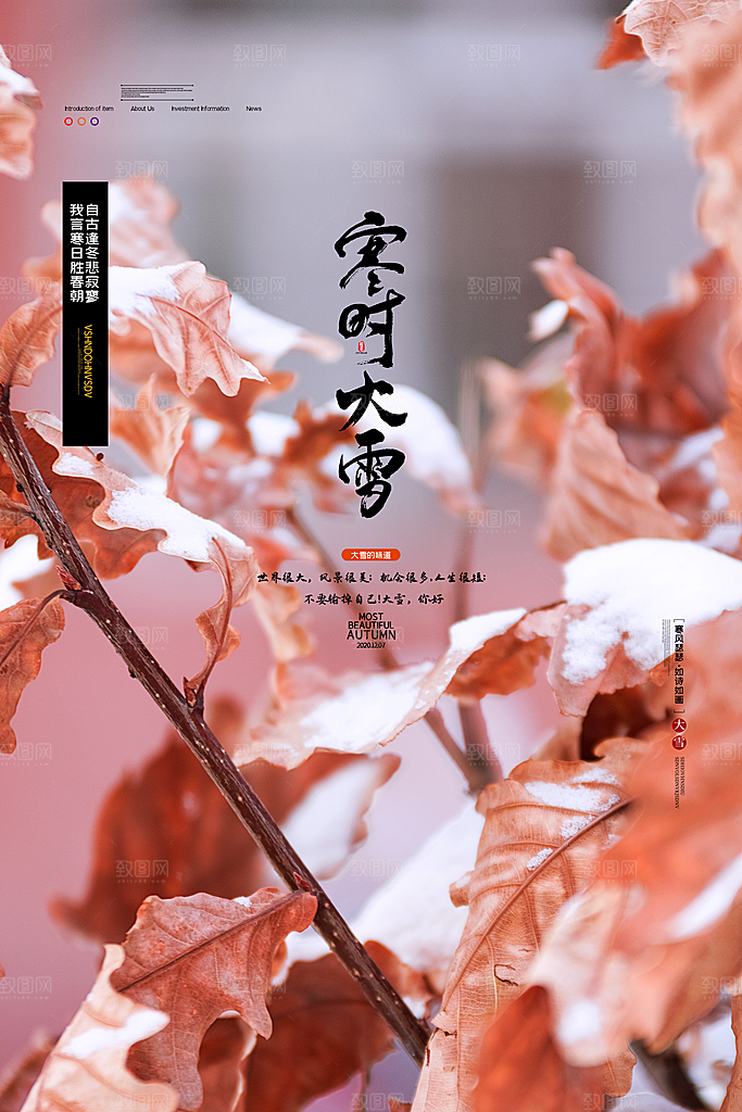 传统节气大雪海报模板