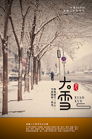 大雪节气简约大气海报