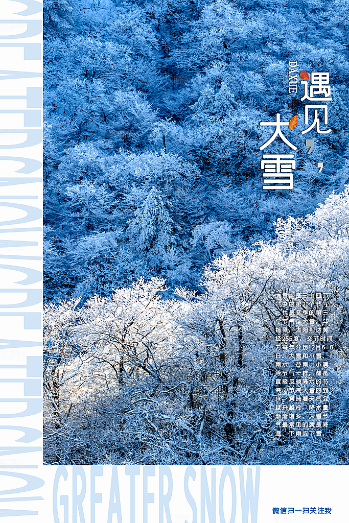大雪节气简约大气海报