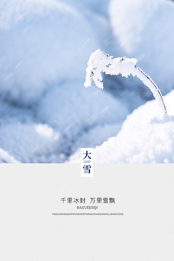 大雪节气简约大气海报