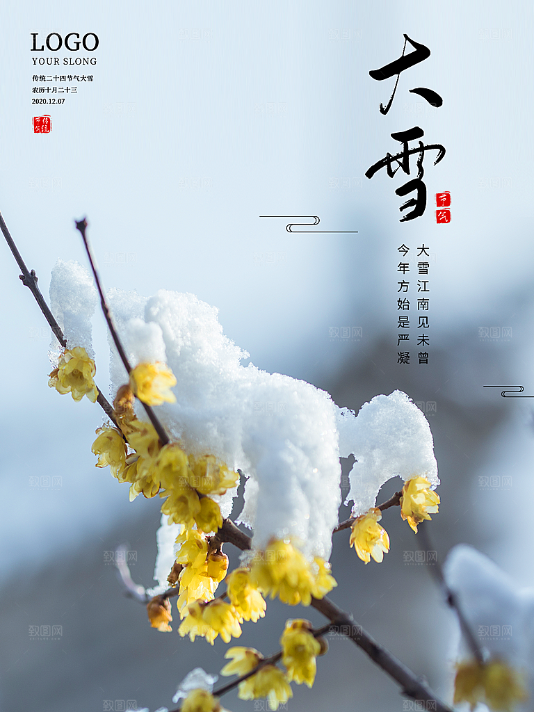 大雪节气简约大气海报