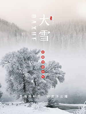 大雪节气简约大气海报