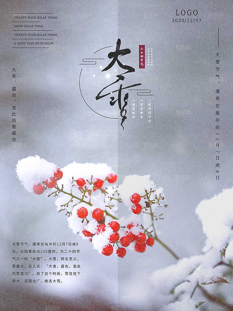 大雪节气简约大气海报
