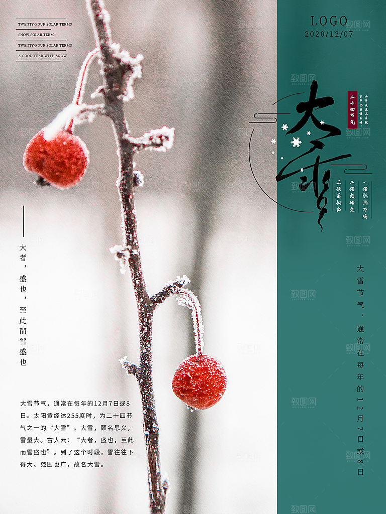 大雪节气简约大气海报
