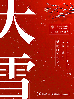 大雪节气简约大气海报