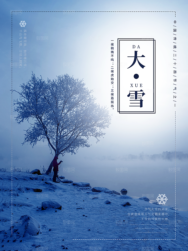 大雪节气简约大气海报