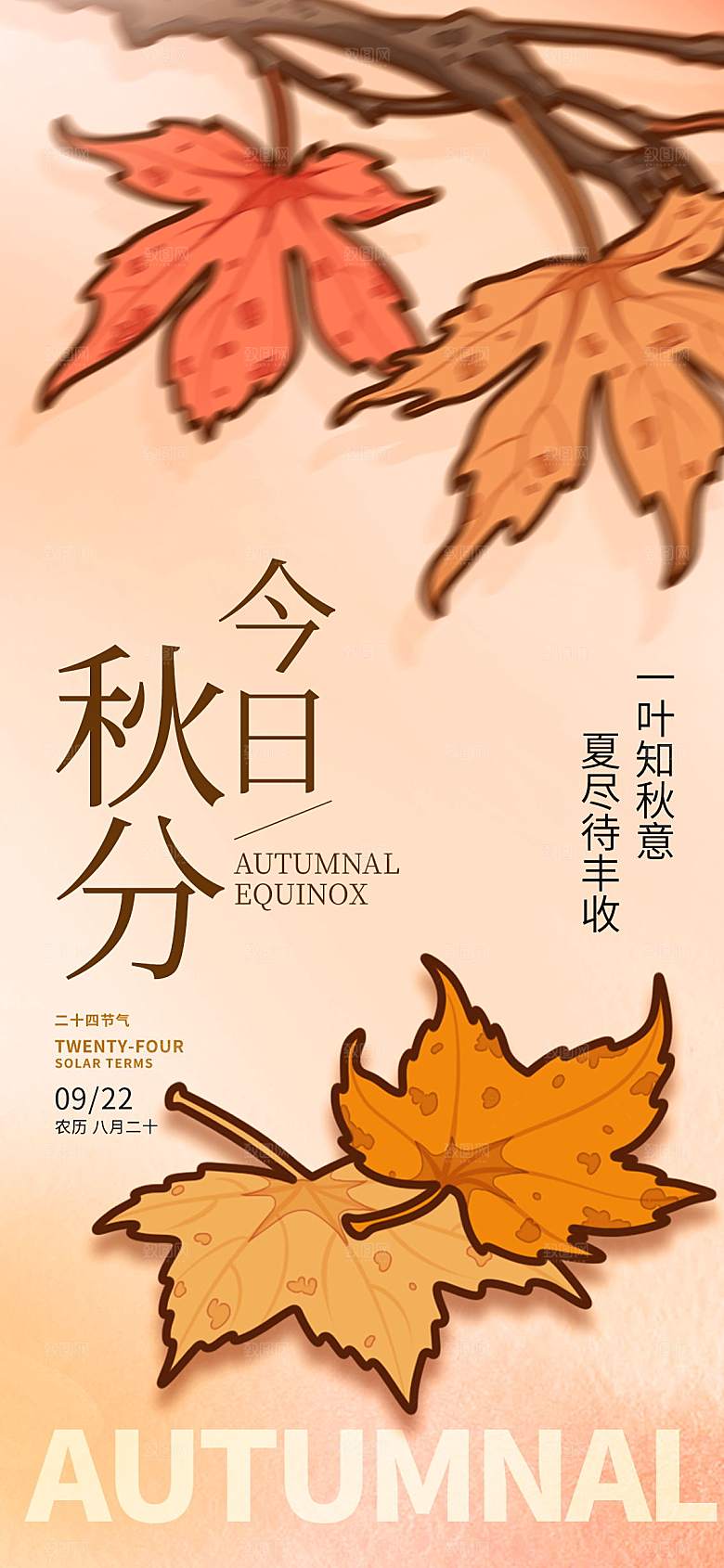 传统节日秋分海报