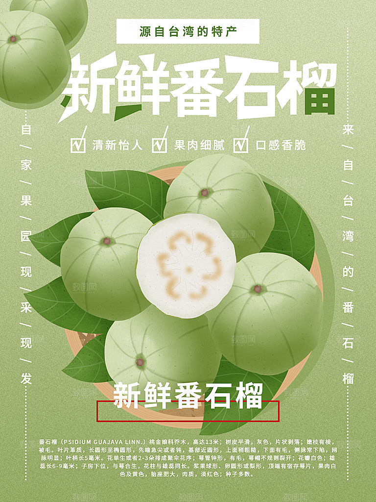 石榴宣传海报设计素材