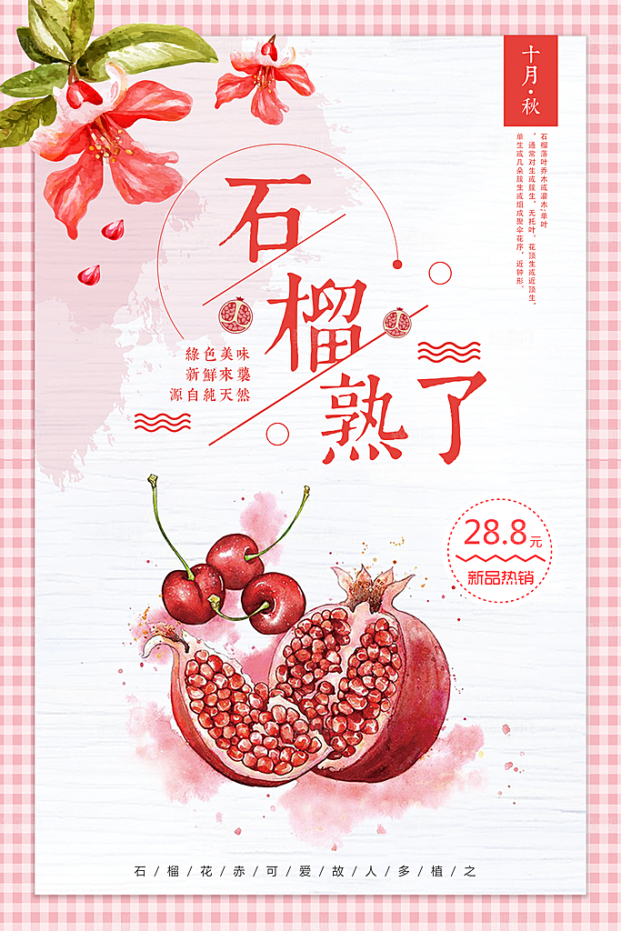 石榴宣传海报设计素材