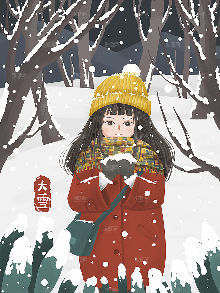 大雪节气简约大气海报