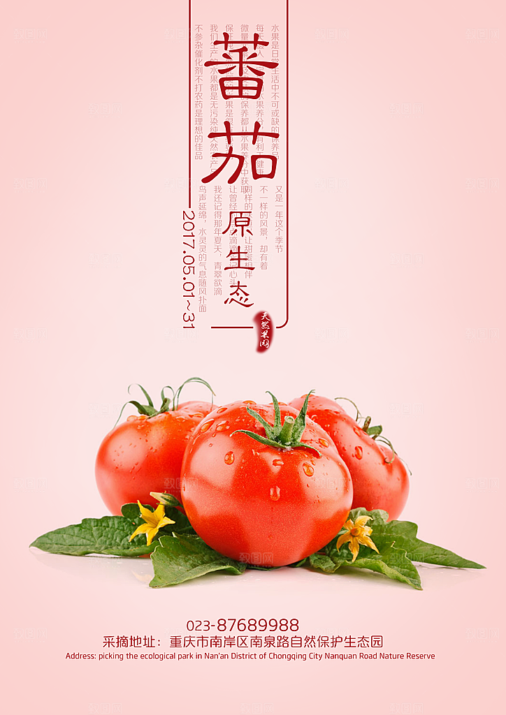 西红柿宣传海报设计素材