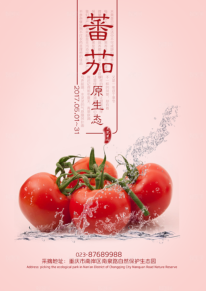 西红柿宣传海报设计素材