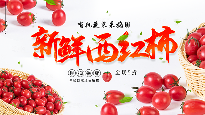 西红柿宣传海报设计素材