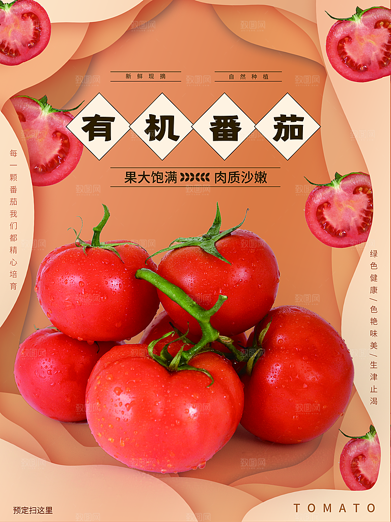西红柿宣传海报设计素材