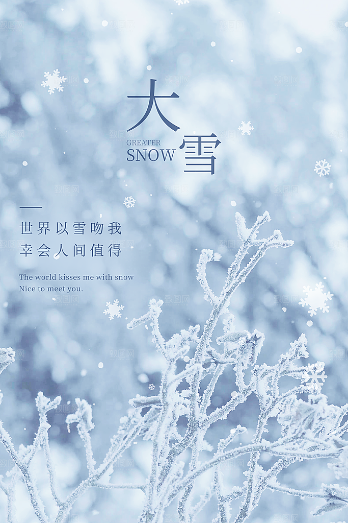 大雪节气简约大气海报