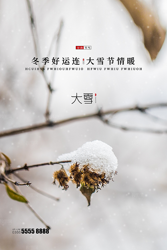 传统节气大雪海报模板
