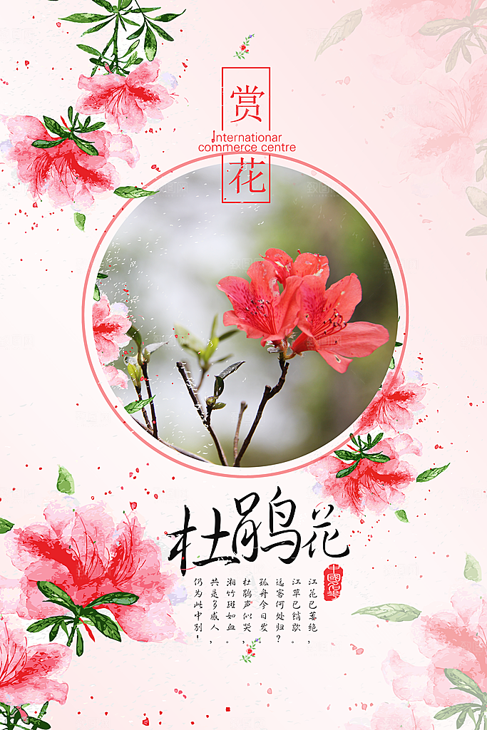 杜鹃花宣传海报设计素材